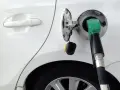 Tankowanie białego samochodu z użyciem bezkorkowego systemu wlewu paliwa. Zielona dysza dystrybutora w otworze wlewu.