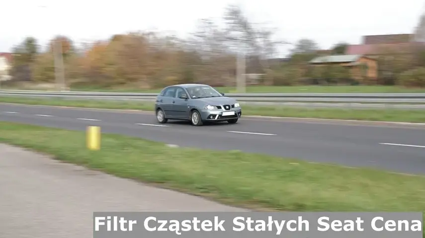Seat Leon II 1.9 TDI - Czy ma DPF i co to oznacza dla Ciebie?