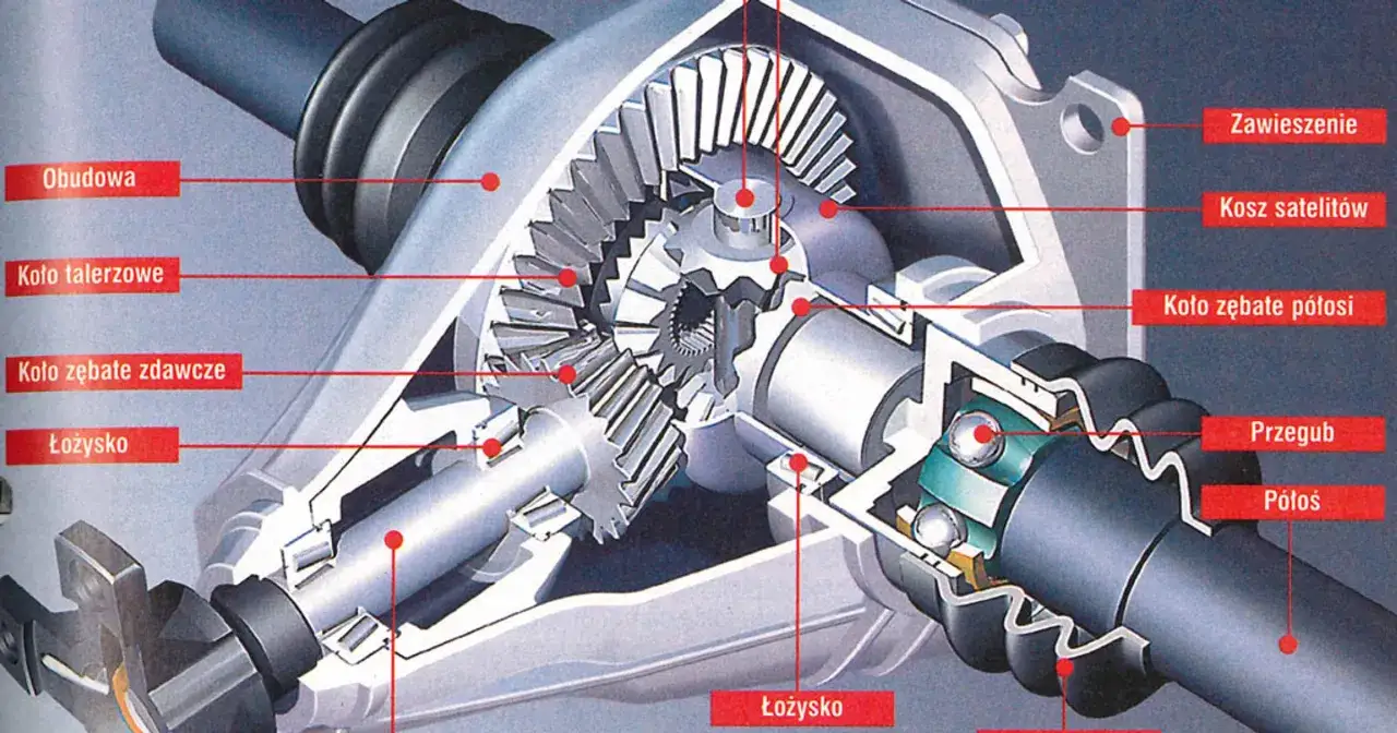 Przekrój mechanizmu różnicowego, pokazujący koła zębate, łożyska i półosie. To serce napędu, inaczej zwane dyferencjałem.